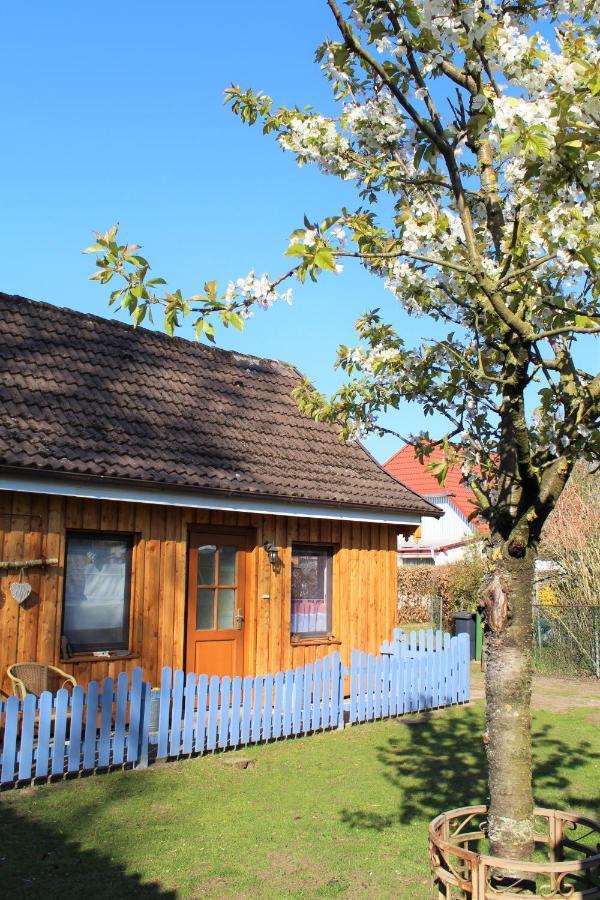 Ferienhaus/Ferienwohnung Reinecke Hodenhagen Extérieur photo